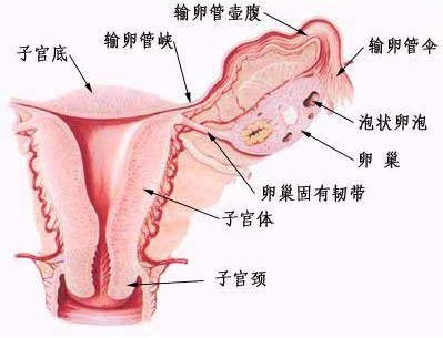 Բǻ