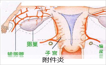 ԸôԤ